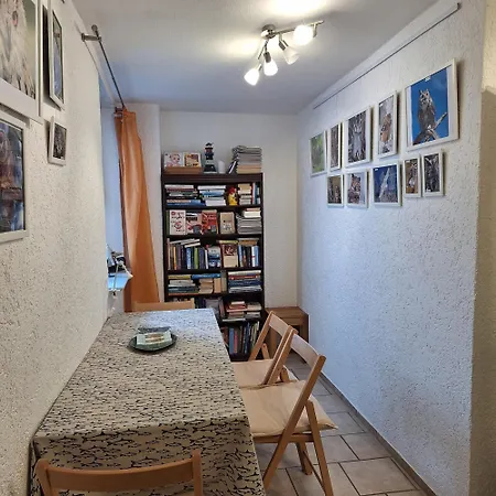 Käuzchen * Erfurt