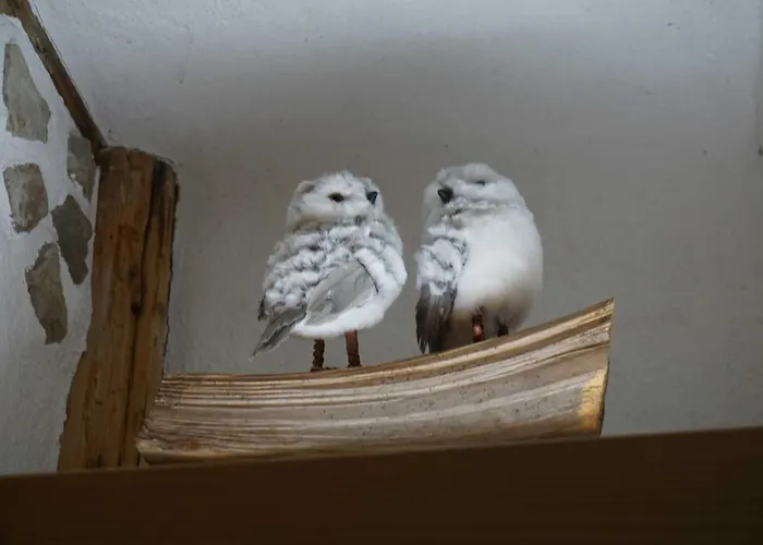 Kaeuzchen エアフルト